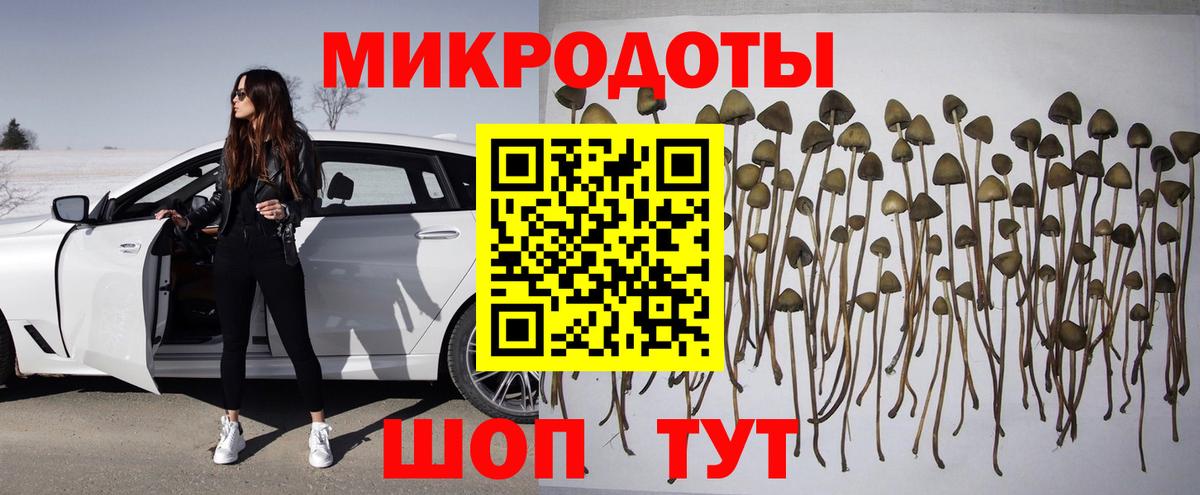 Галлюциногенные грибы мицелий  Псилоцибиновые грибы ЛСД  Мурино  Вход с VPN 